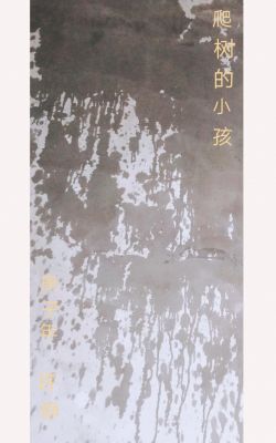 中国水朦画系列